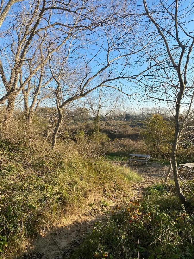 Vakantiehuisje38コクセッド エクステリア 写真